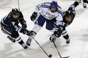 华体会体育：克星定律再现！特谢拉独揽三球摧毁富力防线 射手对决全面压制扎哈维